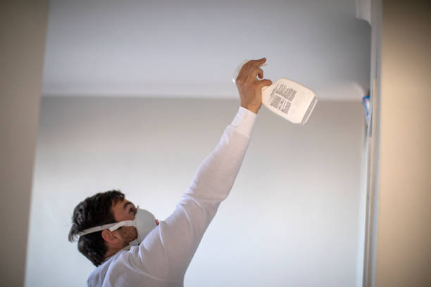 Best Insurance-Related Mold Remediation in South Portland, ME